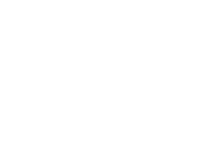 Vg Logo White Small
